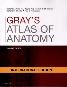 Gray's Atlas of Anatomy,2/e: with STUDENT CONSULT Online Access(IE)