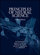 Principles of Neural Science,5/e