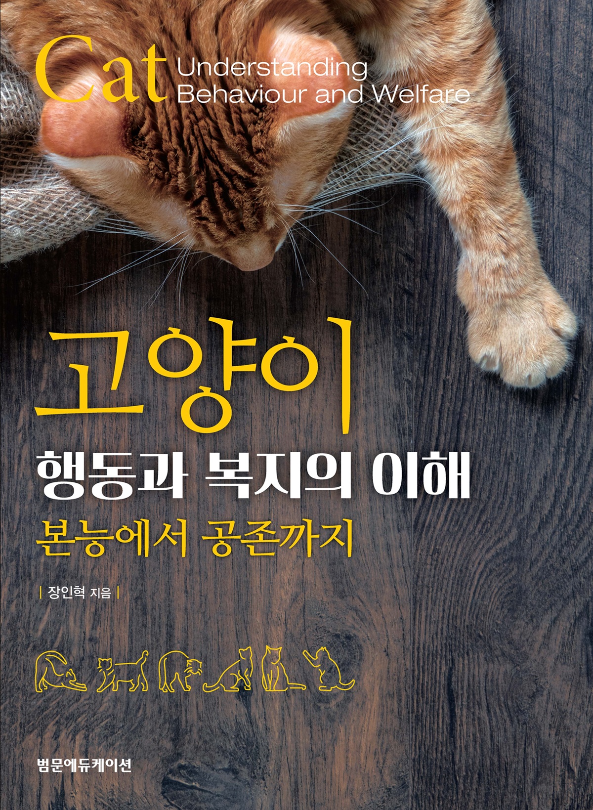 고양이 행동과 복지의 이해 본능에서 공존까지