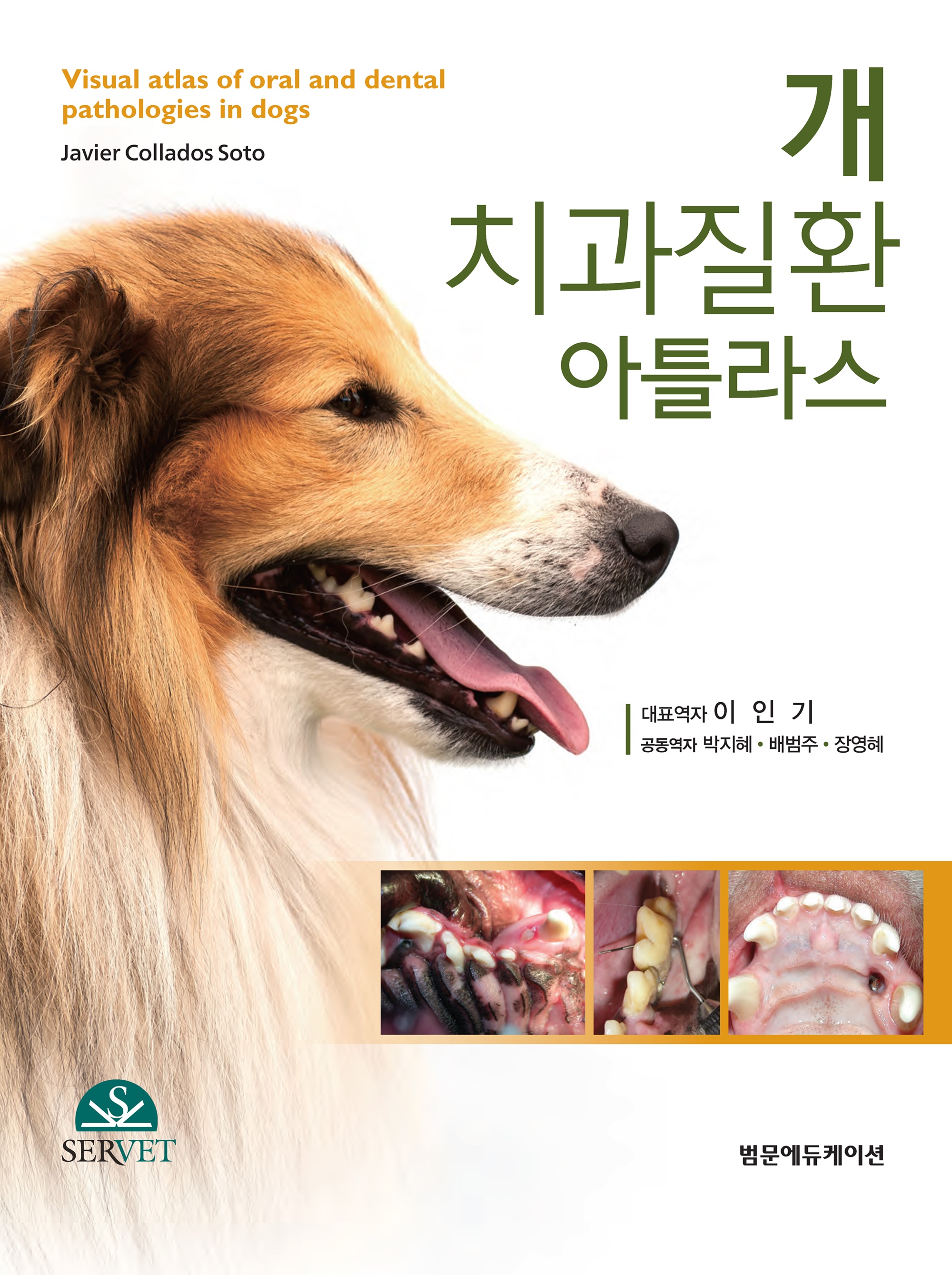 개 치과질환 아틀라스 1판