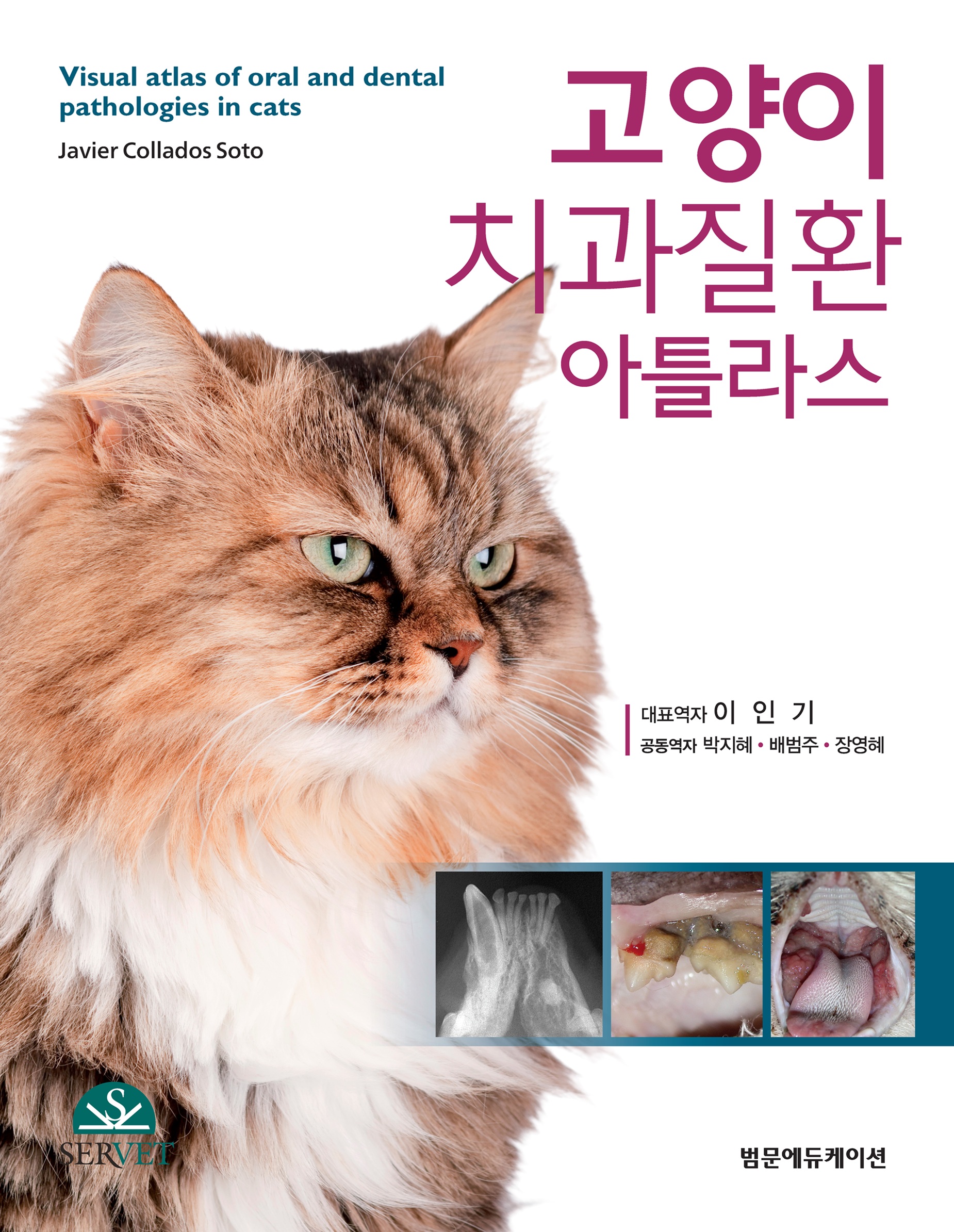고양이 치과질환 아틀라스 1판