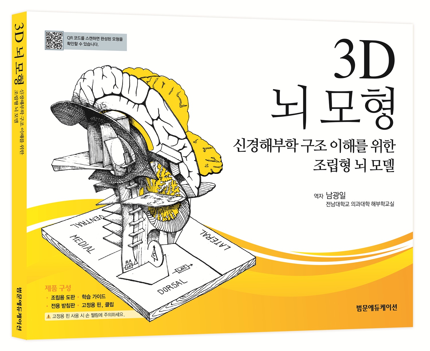 3D 뇌 모형 - 신경해부학 구조 이해를 위한 조립형 뇌 모델