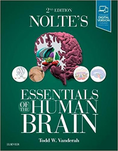 Nolte's Essentials of the Human Brain 2e